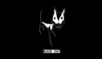 angry-cat